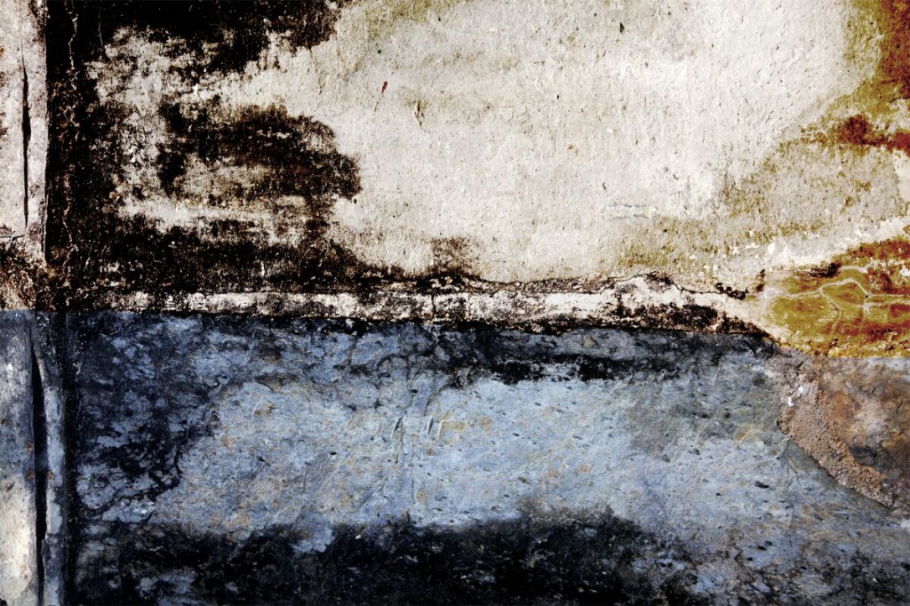 画展信息