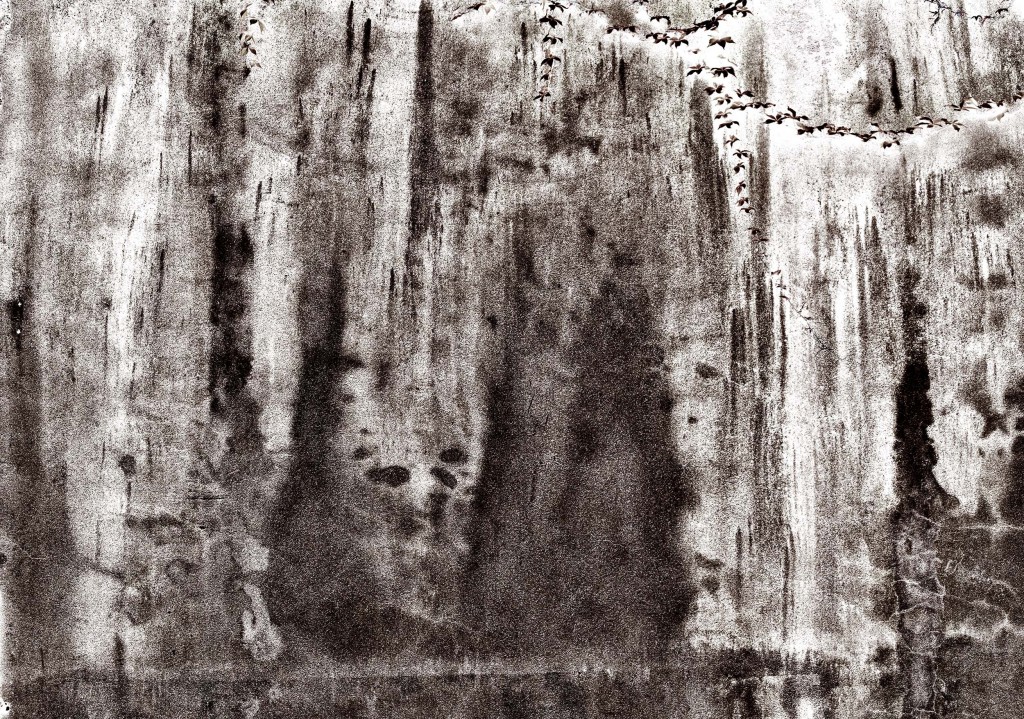 画展信息